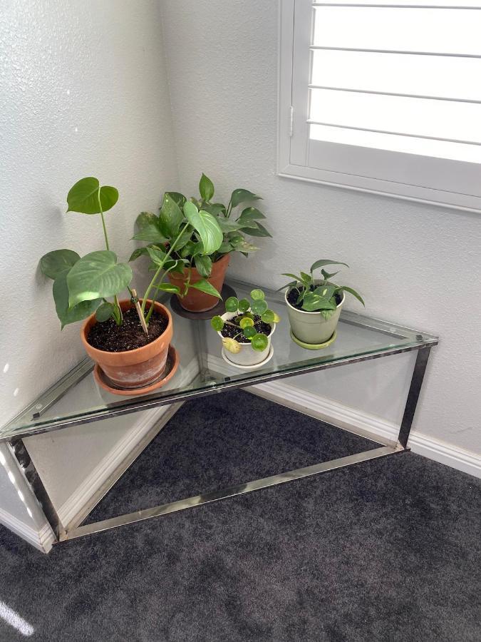 Private Room In La With Free Wifi And Tv With Shared Kitchen Los Angeles Buitenkant foto